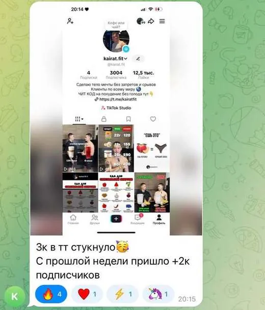 скриншот из чата учеников